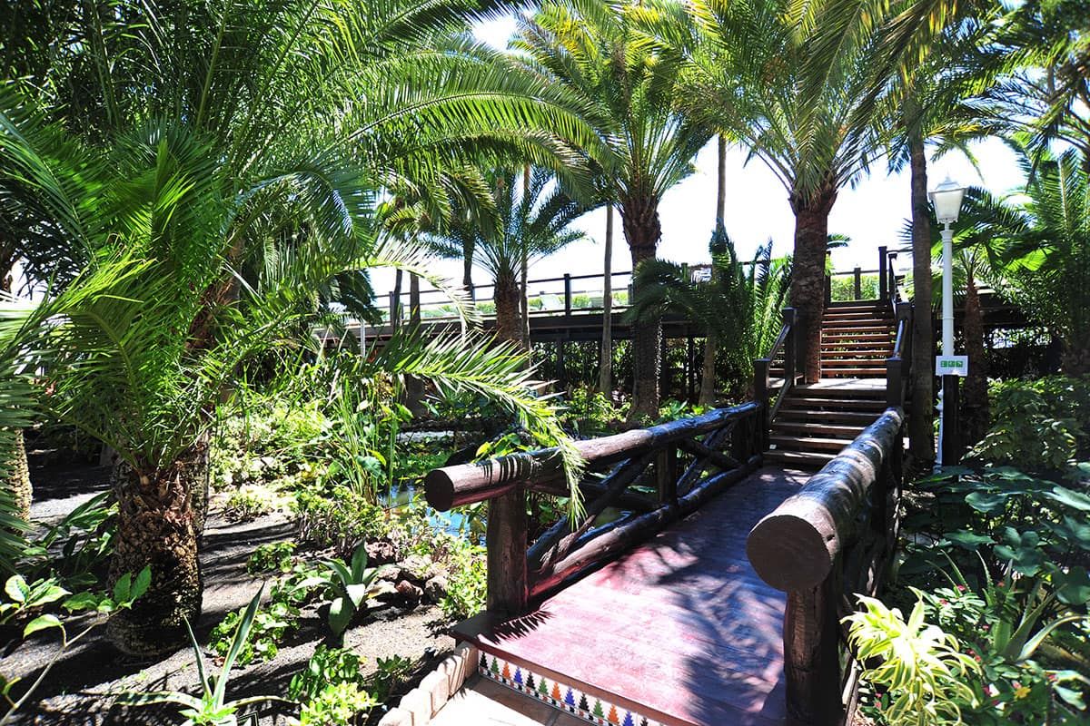 Hôtel Parque Tropical - Eté 2019 pas cher photo 9