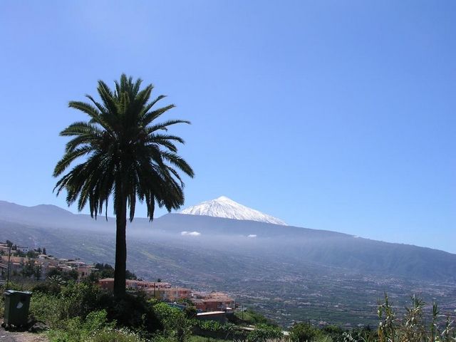 Hotel Botanico&The Oriental Spa Garden5* pas cher photo 12