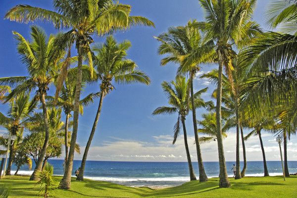 Hôtel Le Floralys 3* pas cher photo 5