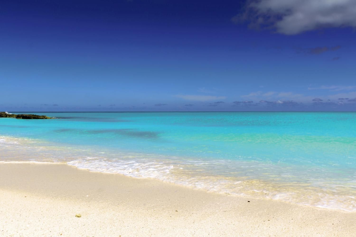 Paradisus Los Cayos - 5* pas cher photo 3