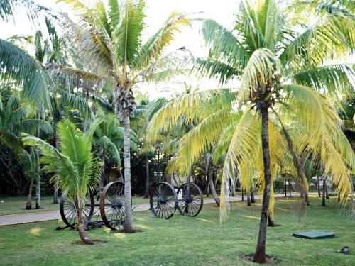 Hôtel Starfish Varadero 3* pas cher photo 11