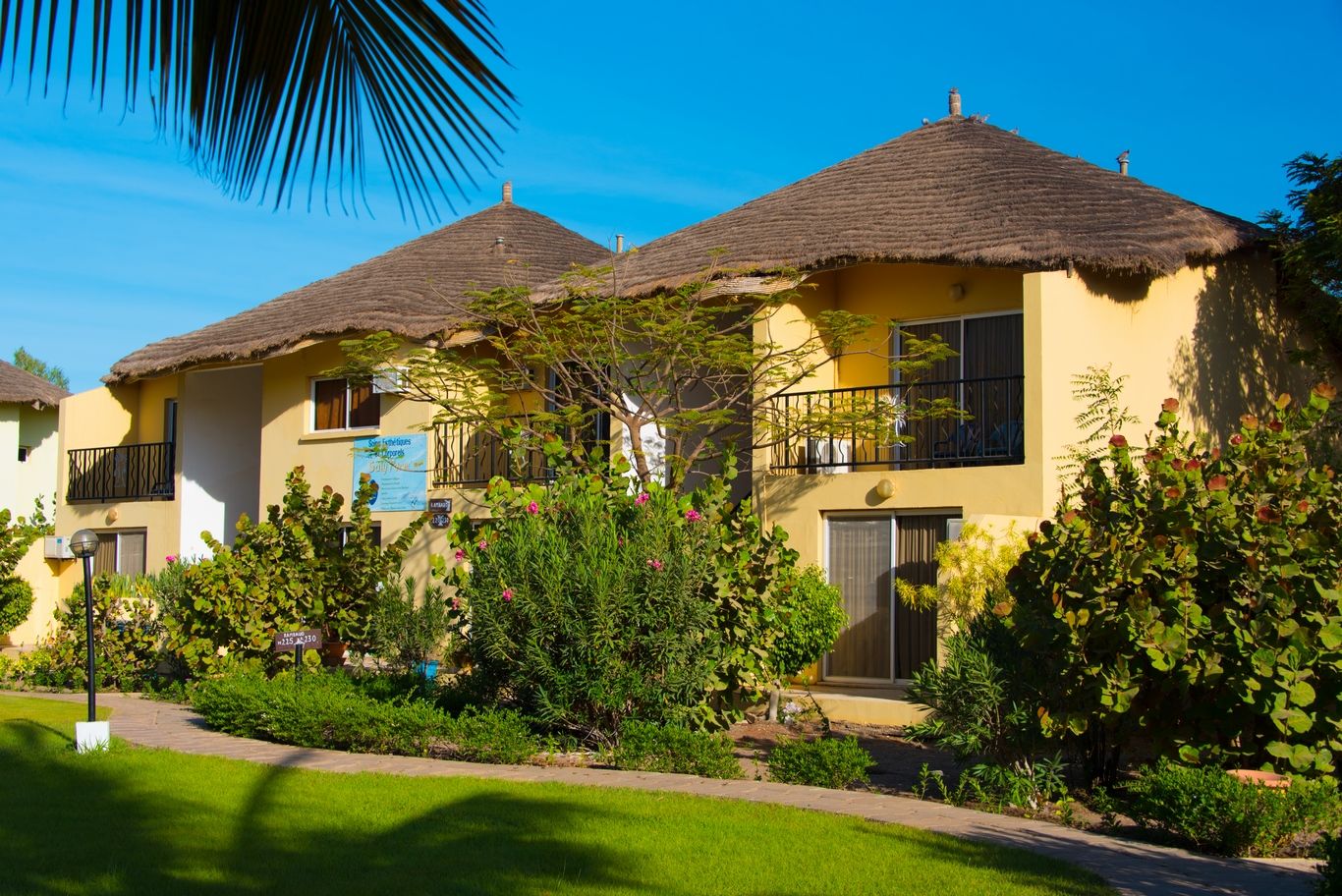 ROYAL SALY 3*(NL) pas cher photo 4