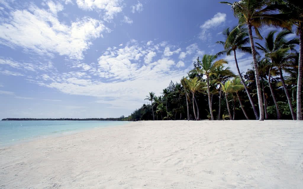 Hôtel Barcelo Bavaro Palace 5* pas cher photo 3