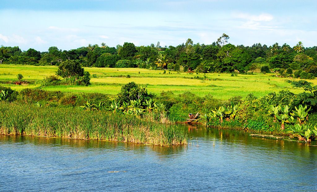 Balade Sénégalaise 3* pas cher photo 3