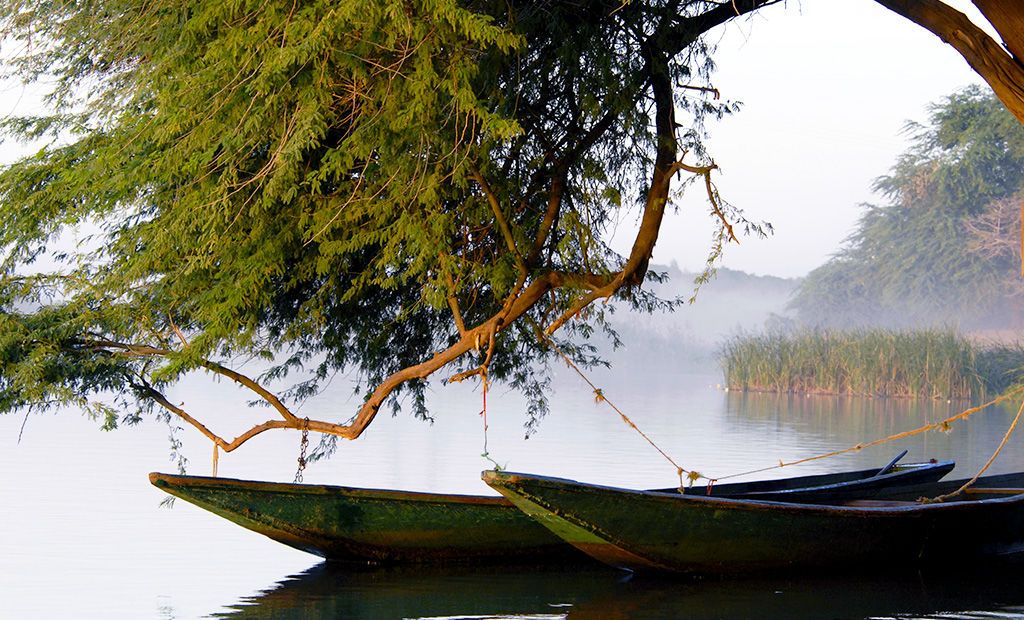 Balade Sénégalaise 3* pas cher photo 4