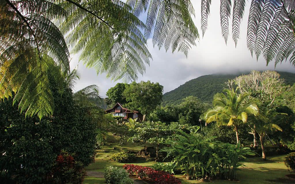 Le Jardin Malanga 3* pas cher photo 7