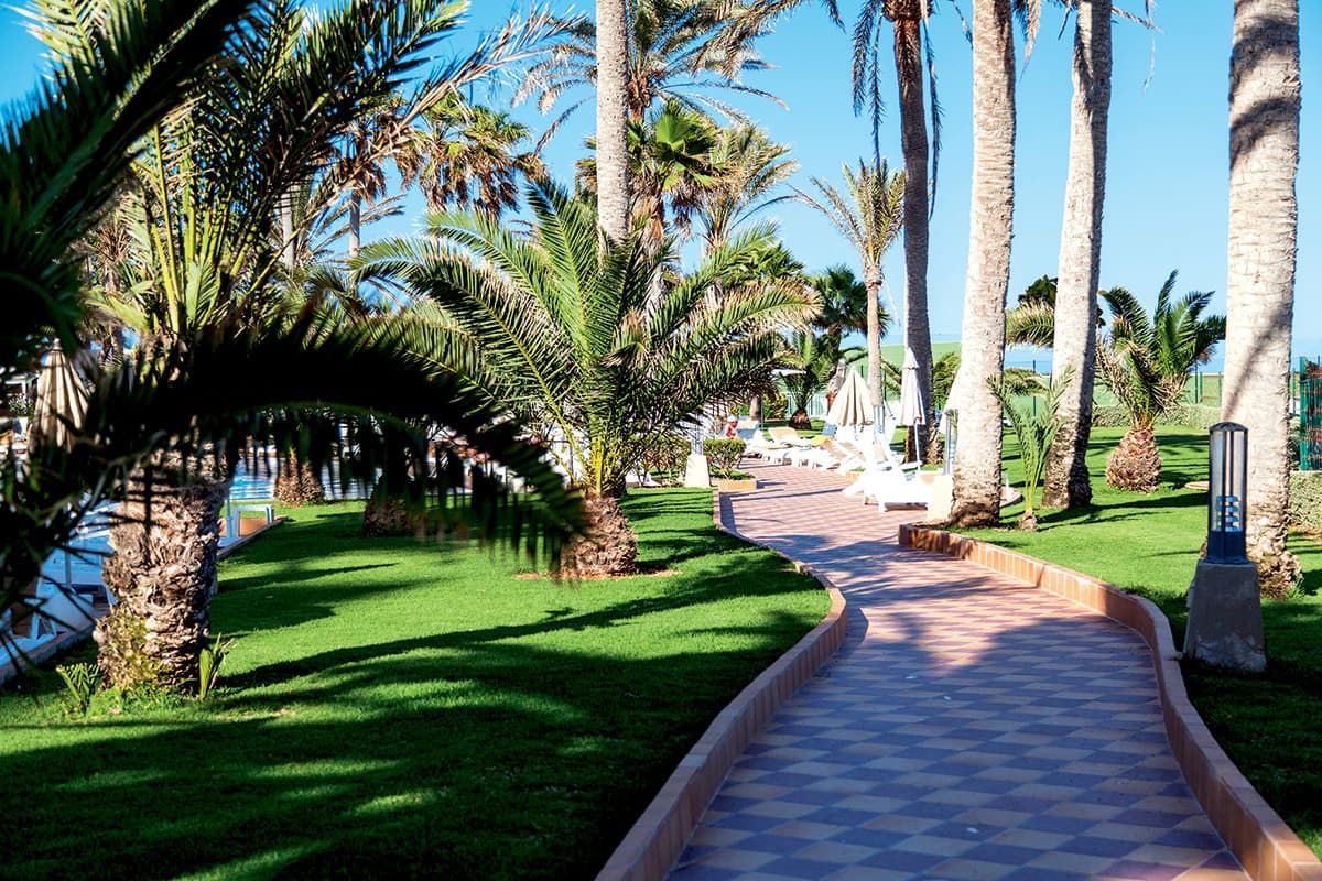 Riu Palace Tres Islas - Vols Charters pas cher photo 9