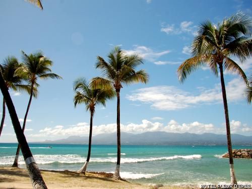 Hôtel La Fleur d'Epée 3* pas cher photo 8