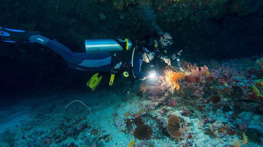 The Barefoot Eco Hotel 4* pas cher photo 10