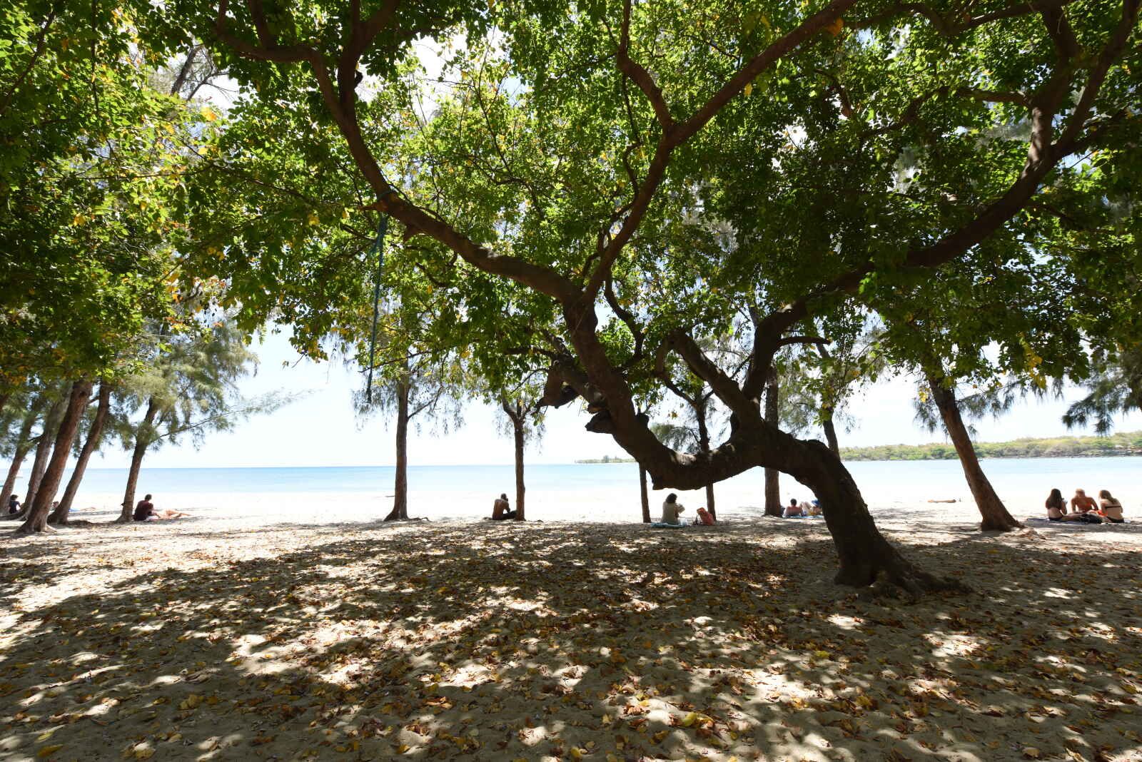 Veranda Tamarin - 3.5* pas cher photo 6