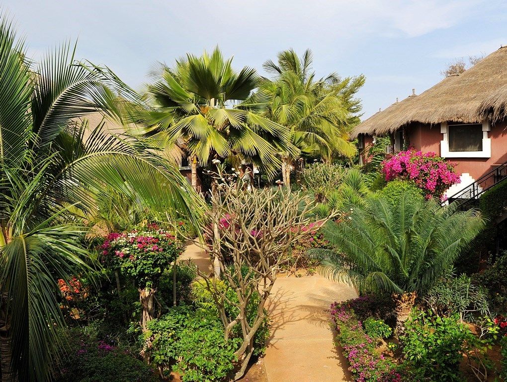 NEPTUNE 5*(NL) pas cher photo 2