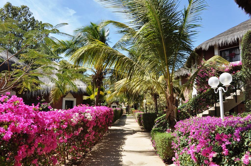 NEPTUNE 5*(NL) pas cher photo 3