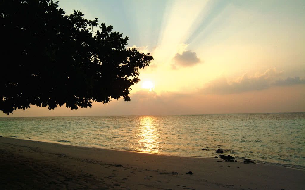 Hôtel Biyadhoo Island Resort 3* pas cher photo 5