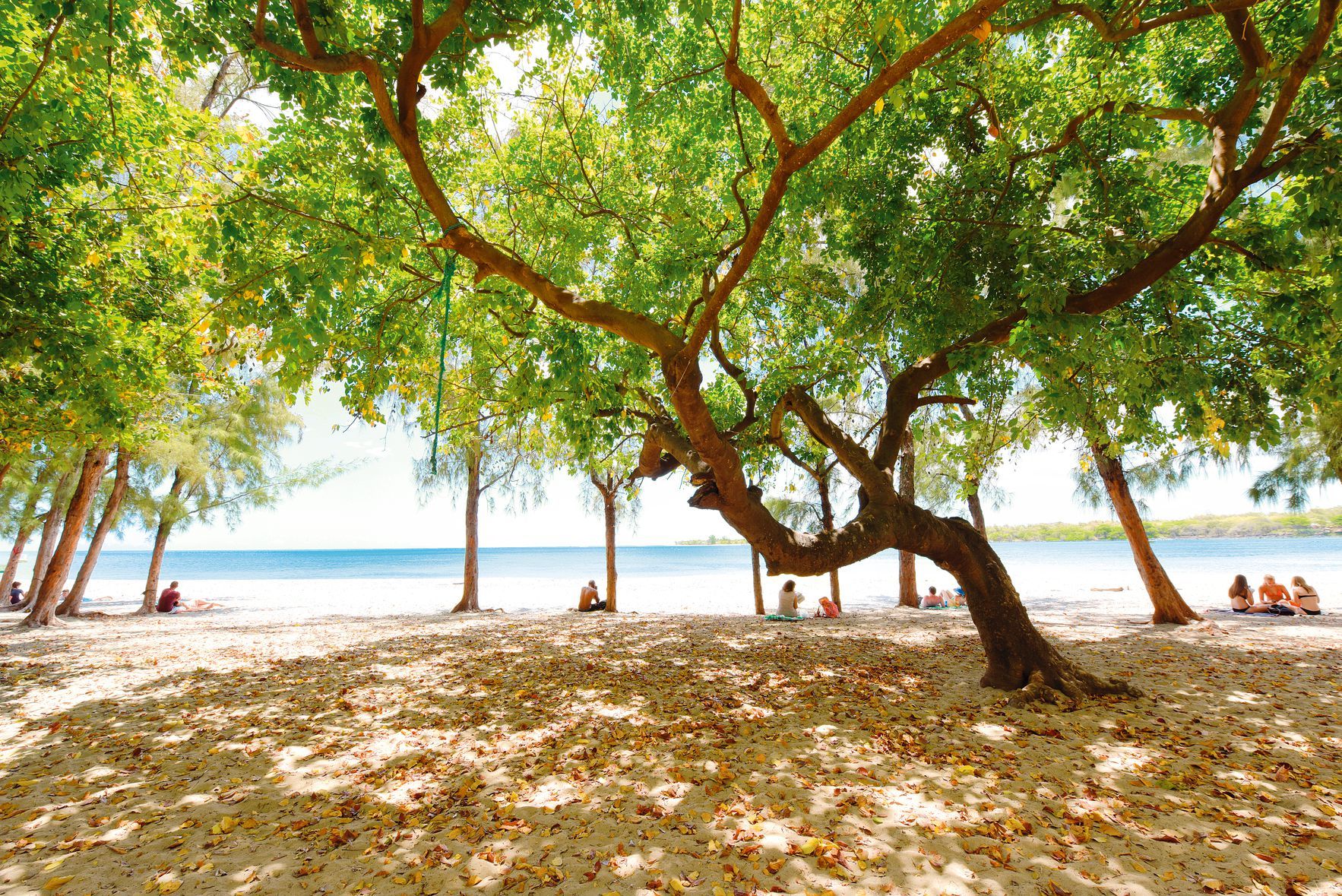 Veranda Tamarin Hotel - 3* pas cher photo 3