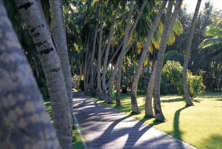 Sun Island Resort & Spa 5* pas cher photo 4