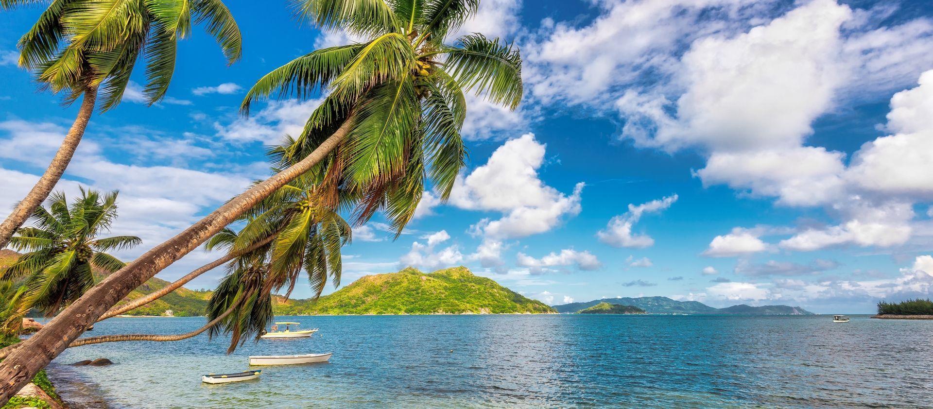 Club Coralia Royal Decameron Montego Beach 4* - Réservé +16 ans pas cher photo 1