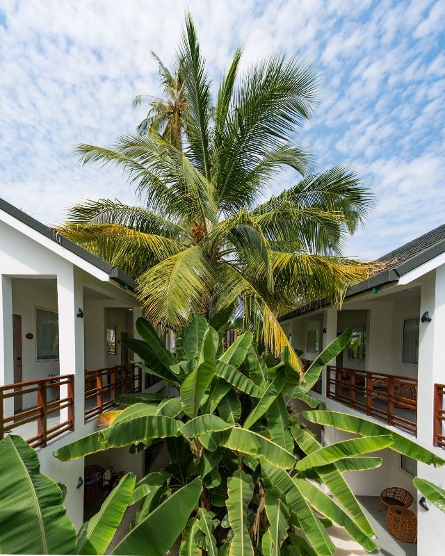 Malahini Kuda Bandos Resort 4* pas cher photo 6