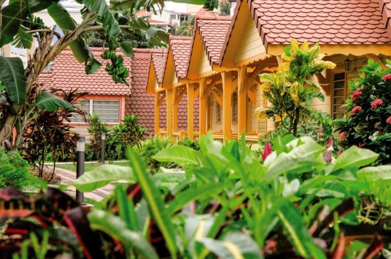 Bambou - 2* pas cher photo 2