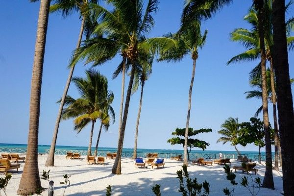 Hôtel Paje Palms Beach 4* sup pas cher photo 3