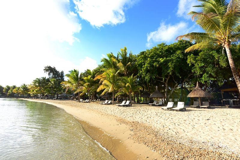 THE RAVENALA ATTITUDE 4* pas cher photo 2