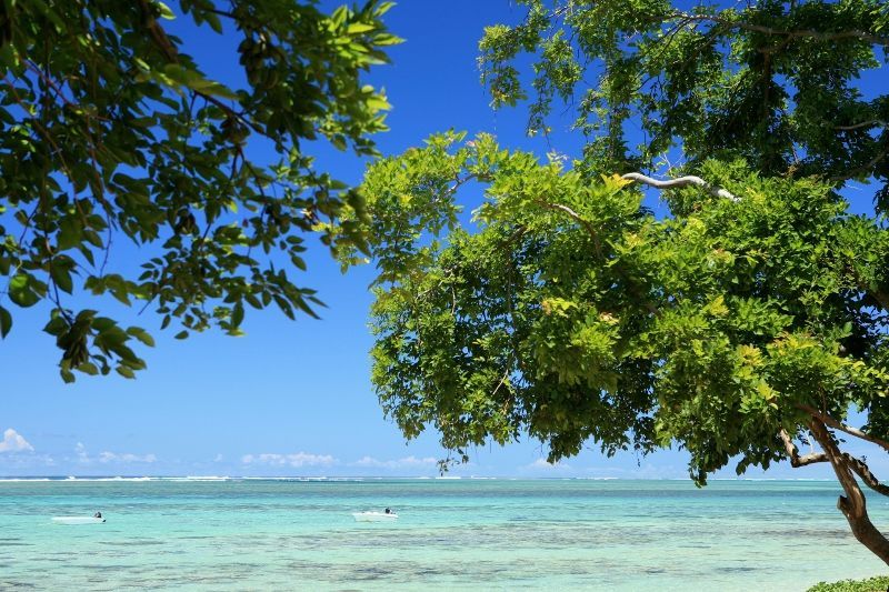 Tamassa By Lux 4* pas cher photo 11