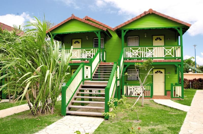 Bambou - 2* pas cher photo 1