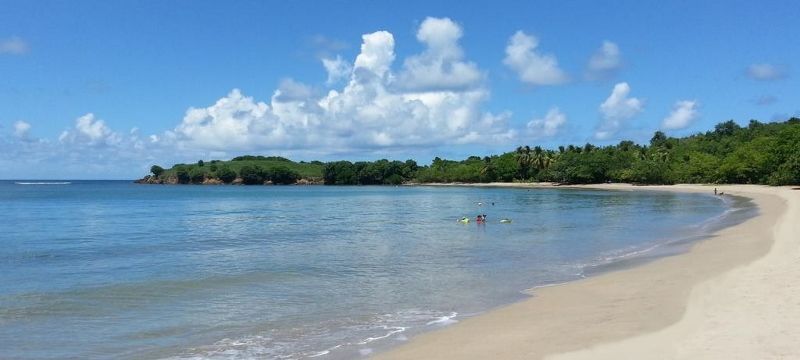 French Coco 4* pas cher photo 12