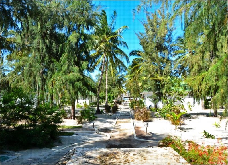 KISIWA ON THE BEACH 4* Sup pas cher photo 4