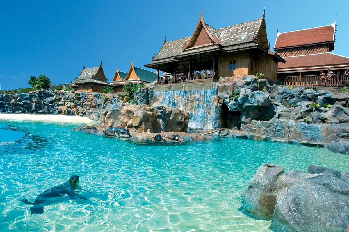 SPLASHWORLD Parque Cristobal & Siam Park - Vols réguliers pas cher photo 11