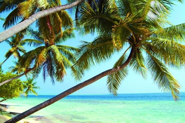 Hôtel Biyadhoo Island Resort 3* pas cher photo 8