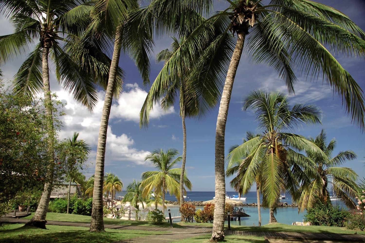 Bakoua - 4* pas cher photo 8