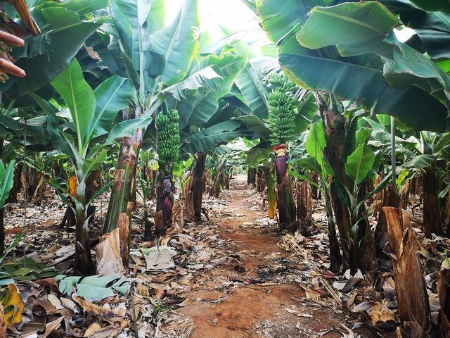 Séjour Culture et traditions hotel 5* pas cher photo 2