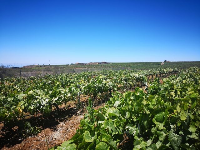 Séjour Culture et traditions hotel 5* pas cher photo 4