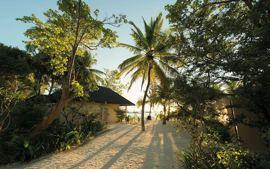 Summer Island Maldives 4* pas cher photo 8