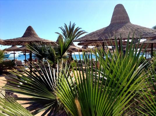 Fabuleuse Egypte & Giftun Azur Resort pas cher photo 7