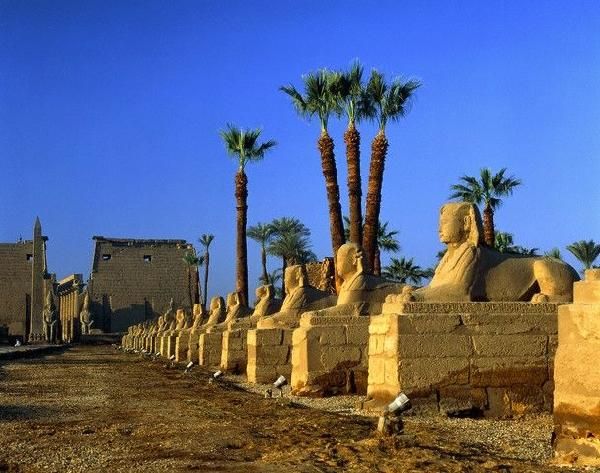 Fabuleuse Egypte & Pyramisa Sahl Hasheeh pas cher photo 2