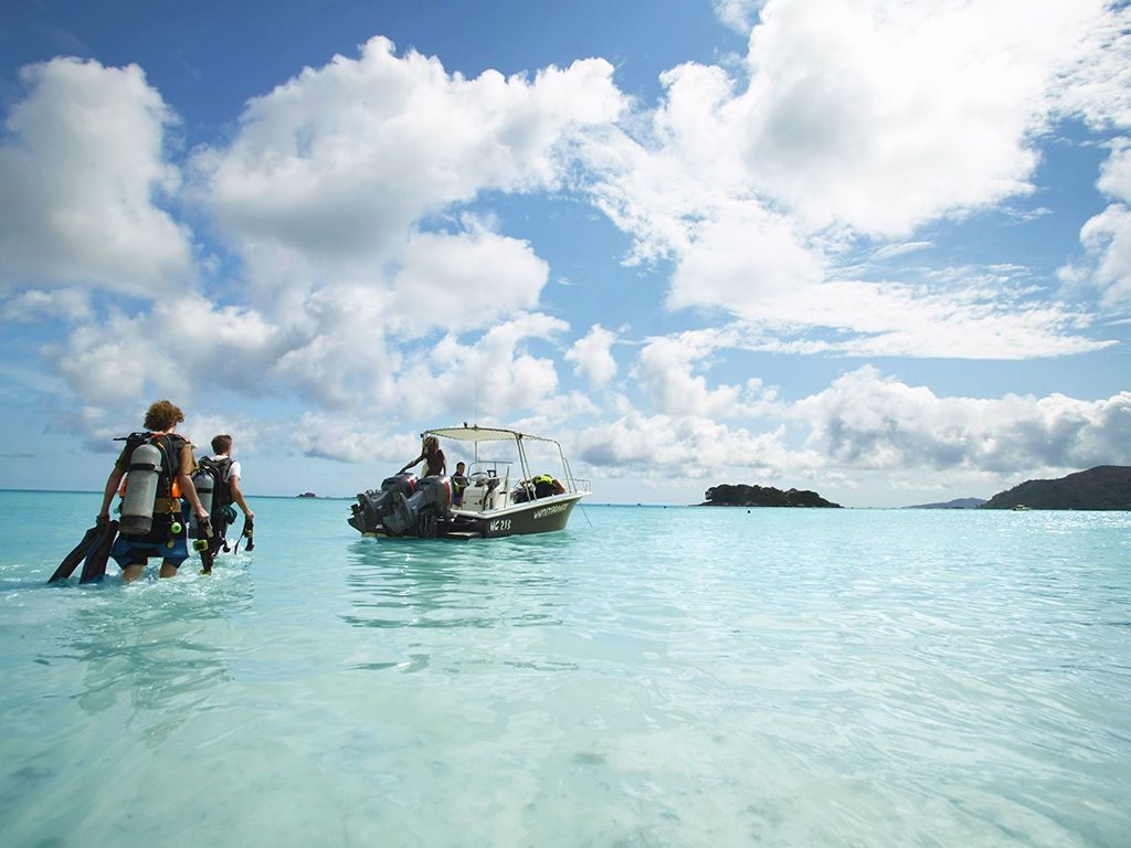 Paradise Sun 4* pas cher photo 6