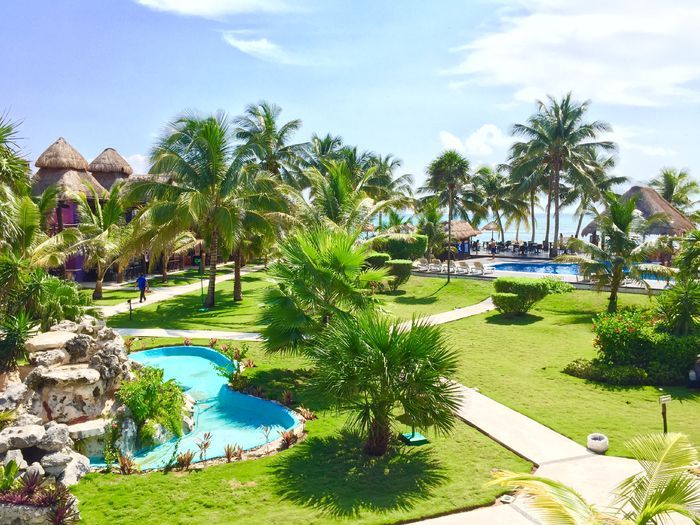 Bravo Club Pavoreal 4* pas cher photo 4