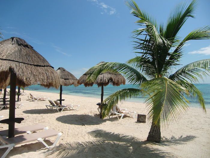 Bravo Club Pavoreal 4* pas cher photo 8