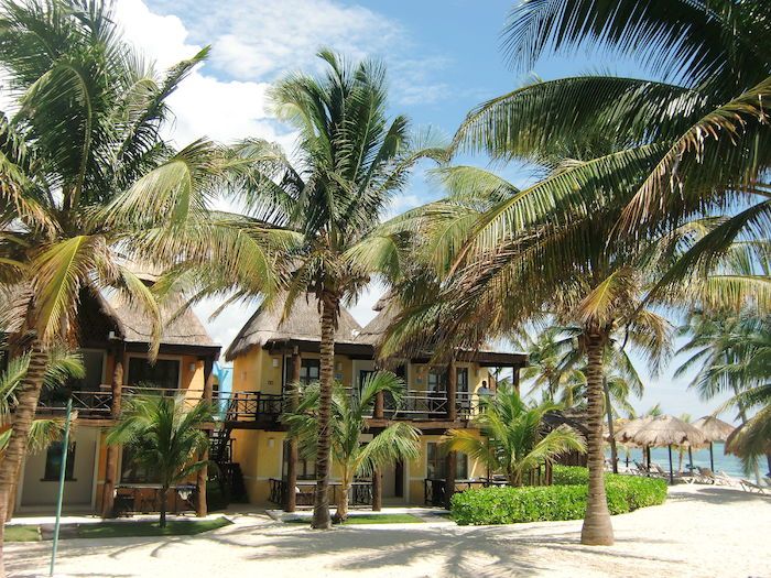 Bravo Club Pavoreal 4* pas cher photo 9