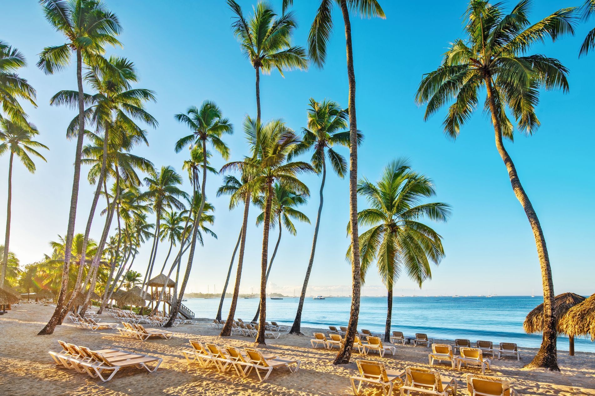 Hilton La Romana - 5* pas cher photo 2