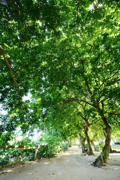 The Ravenala Attitude 4* pas cher photo 12