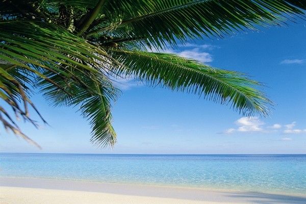 Hôtel Hanifaru Stay 3* pas cher photo 1