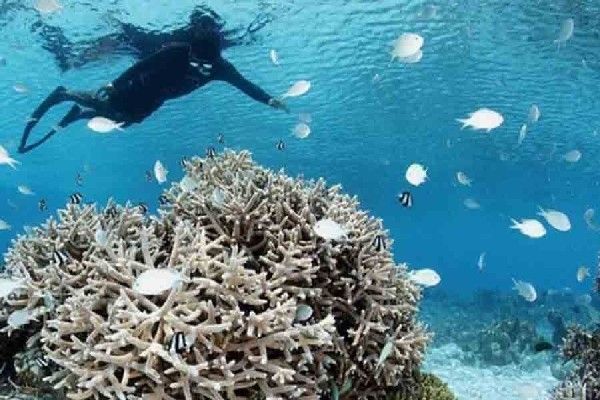 Hôtel Hanifaru Stay 3* pas cher photo 3