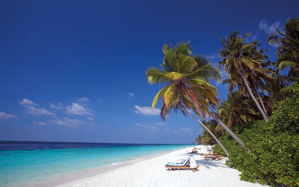 Filitheyo Island Resort 4* pas cher photo 11