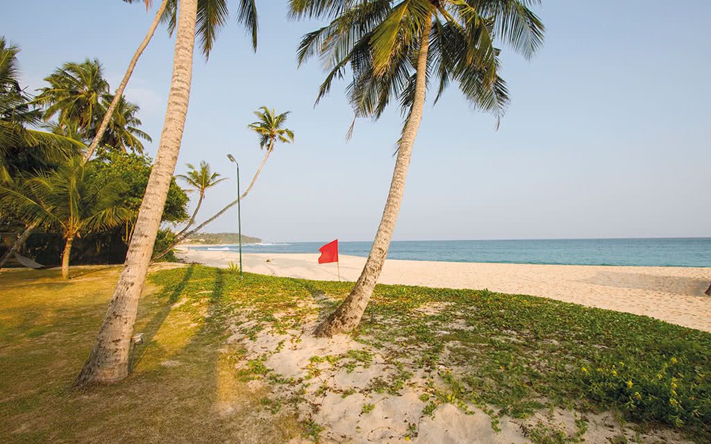 Lantern Mirissa 5* pas cher photo 6