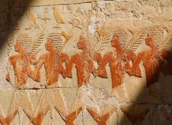 Fabuleuse Egypte & Jaz Makadi Saraya 5* pas cher photo 1