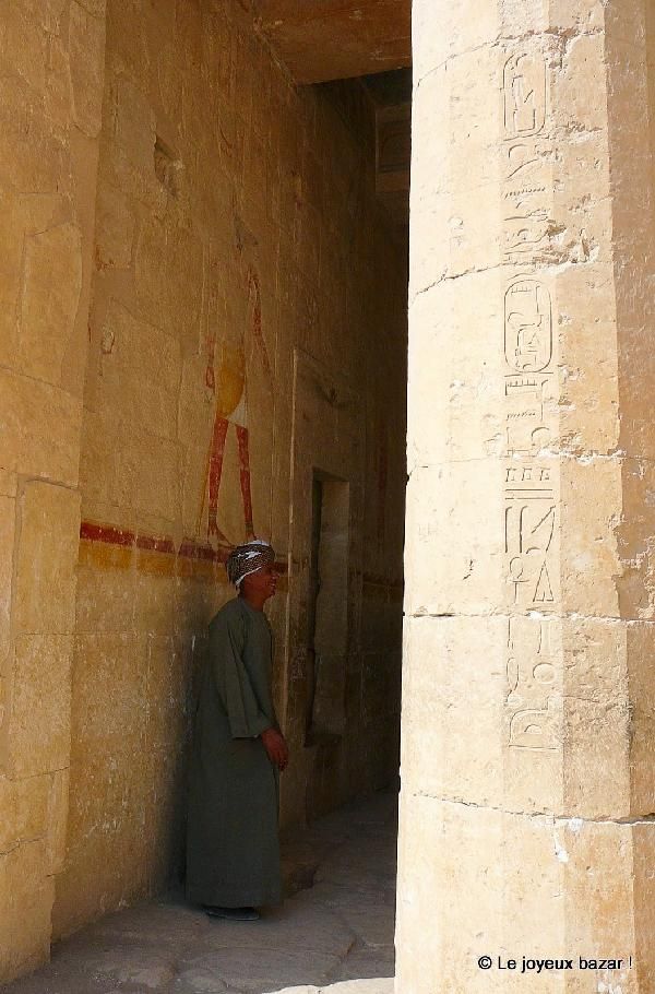 Fabuleuse Egypte & Jaz Makadi Saraya 5* pas cher photo 2