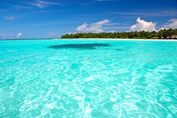 Hôtel Sun Island Resort 5* pas cher photo 2