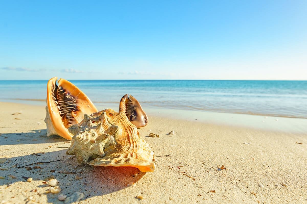 Club Lookéa Exploréa Trinidad del Mar - Vols Air Caraïbes pas cher photo 2